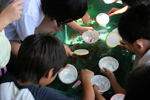 ۑ[ Photo1