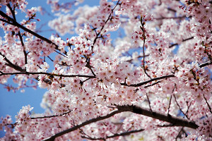 ˏ ܂ Photo1