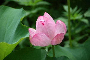 T b _`K Photo1