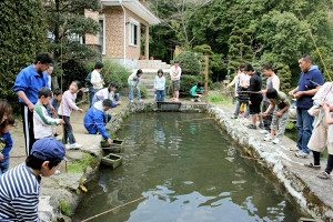  Photo7