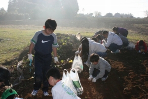 eruxv Photo4