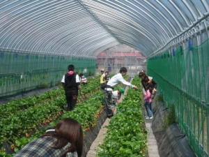  Photo2