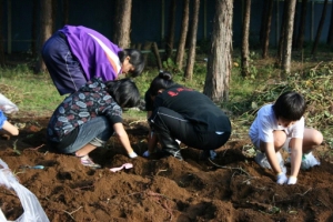 eruxv Photo2