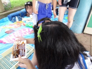 Tr[` Photo1