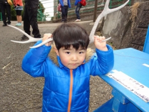 Ђǂ|p&݂ˌ Photo28