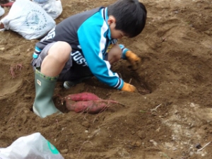 @ Photo8