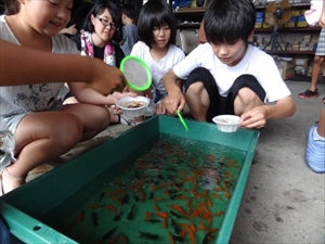 T鑾۔[ Photo7